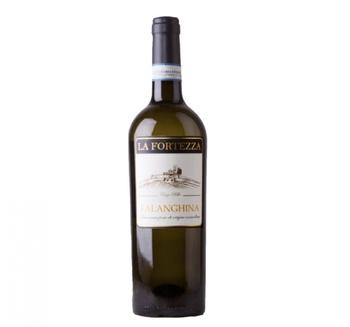 WINO FALANGHINA DEL SANNIO TABURNO 0,75L B WY