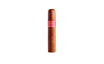 CYGARO PARTAGAS SERIE D NO. 5 - 25 KUBA